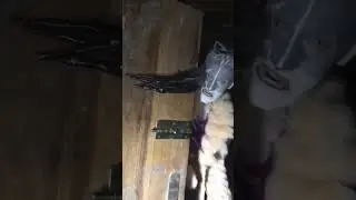 любимая mommy 
