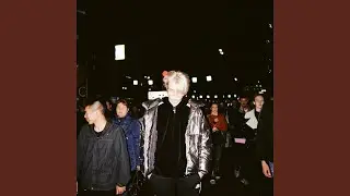Муравьи