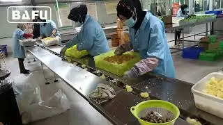 fruit packaging machine, fresh produce packaging machine, vegetable packaging machine, flow wrapper