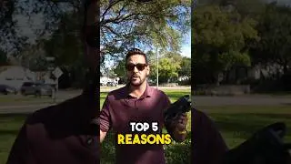 DJI Avata 2 Top 5 things I love #dji #avata2 #djifpv