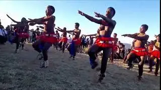 zulu cultural dance for virgin girls 