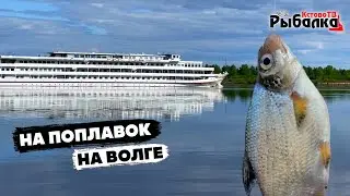 Рыбалка в г.Кстово 