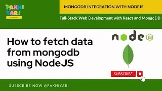 How to fetch data from mongodb using NodeJS