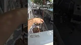 Где можно курить в Корее #вкорее #обзор #южнаякорея
