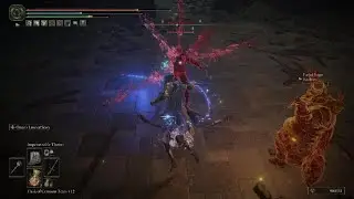 ELDEN RING Double team