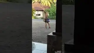 Orang gila jago goyang