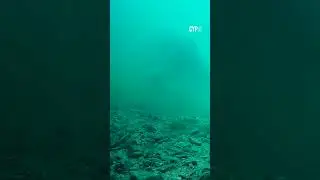 3 DAYS TO GO ⏰️ GAZ FAREHAM does UNDERWATER!