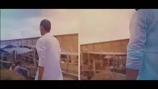 korbanito|কোরবানিত|despacito parody|best korbani eid song 2017!