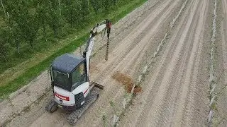 Zakładamy rusztowania w nowych sadach