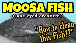 MOOSA FISH ( How to clean this one eyed creature )