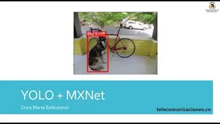 YOLO + MXNet