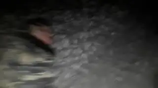 Папаян ползет домой после большой пьянки