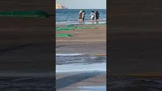 Amazing Oman #youtube #youtuber #youtubeshorts
