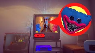 I watched the NEW VIDEO about Huggy Wuggy in Poppy Playtime