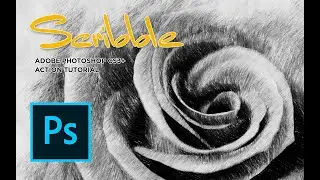Scribble CS3+ Photoshop Action Tutorial