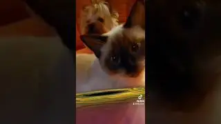 а вот она - черная дыра 😉