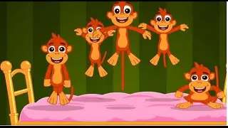 funny monkeys