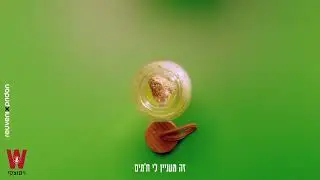 חליטה קרה COLD BREEZE לימונענע