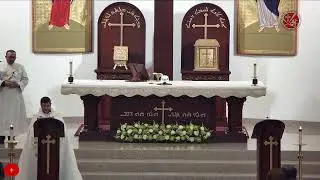 ♱ القداس الإلهي ليوم الاحد الثالث من تقديس الكنيسة باللغة العربية يقربه : ابونا انطوان زيتونة