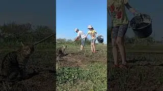 Доброе утро. 