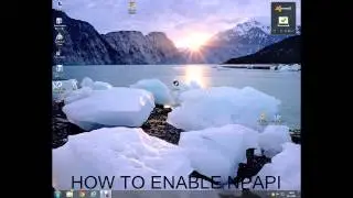 How to enable NPAPI