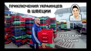Приключения украинцев в Швеции. 2018 сезон 6 серия \ Амселе.