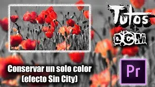 Premiere Conservar un solo color (efecto sin city) Tutos DCM
