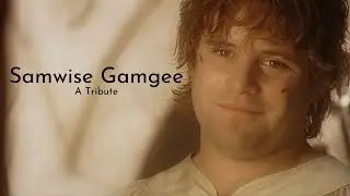Samwise Gamgee | A Tribute
