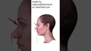 Mistake when Drawing the Nose - Quick Art Tips 