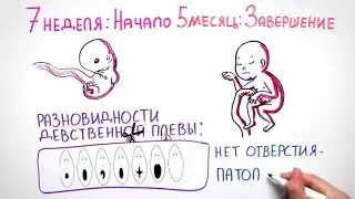 Девственность! Зачем она нужна?