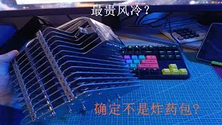 首蚌，不兼容螺丝刀！最强被动散热？猫头鹰NH-P1