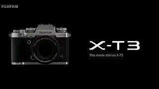 Прогулка с Fujifilm X-T3 в парке