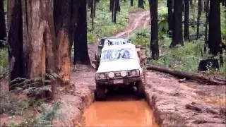 Gq patrol in toolangi. Td42 through the bog hole