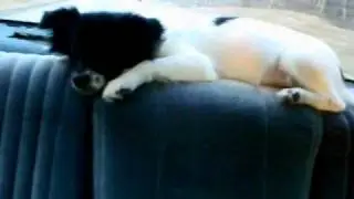 sleepy