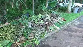 A Video Essay of Hurricane Milton