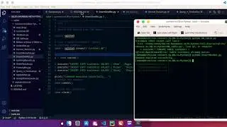 Learn to use SQLite3 databases with Python[PART 1]