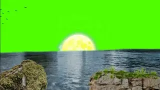 New Green Screen Beach Background HD Video 🌊/ Green Screen Sea Birds Effect / Green Screen Nature