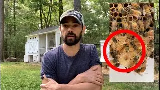 Week 10 - A New Queen Emerges!