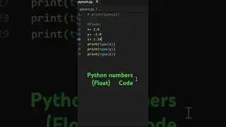 ⭐️python float numbers 