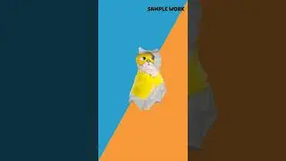 Fun Instagram Video Ad (2nd)