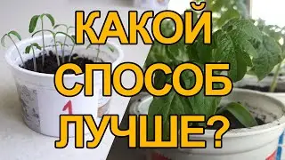 ПОСЕВ ТОМАТОВ НА РАССАДУ! НУЖНО ЛИ ПРОРАЩИВАТЬ? ЭКСПЕРИМЕНТ!
