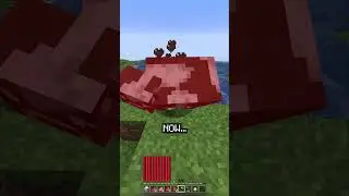 Minecraft, But I Am MADE Of Hearts...