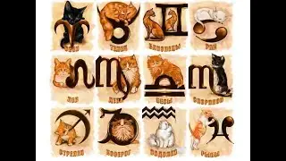 Какой котяра к какому знаку Зодиака? Интересно?#cats #коты #funnycats #catsvideo #смешныекоты