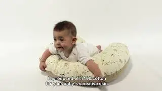 Babyjem Emzirme & Destek Minderi