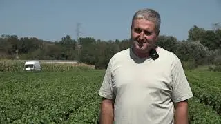 PRILOG VRT - RASADNIK "LAĐAREVIĆ" u MEDVEĐI CARSTVO VOĆA