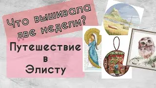 173. Продвижения за две недели | Путешествие в Элисту | Вышивка крестом