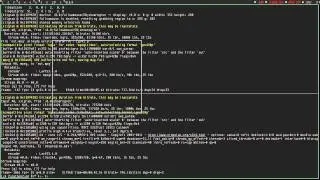followmouse and showregion options for x11grab of ffmpeg