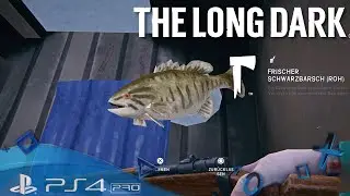 The Long Dark PS4 🌕 Fische Angeln