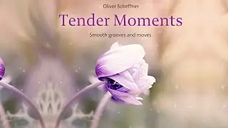 Musik Album - Tender Moments