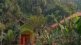 Maqbaroh Kyai Idris Santri Kyai Hasan Sepuh Genggong